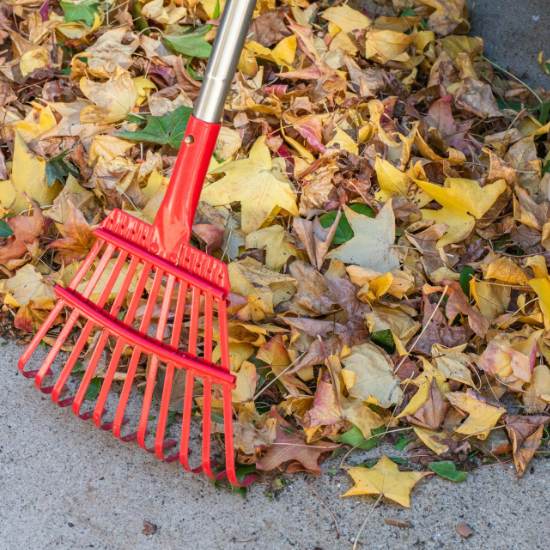 Weeding and seasonal clearance